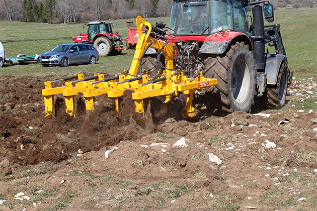 Cover crop forestier Crabe