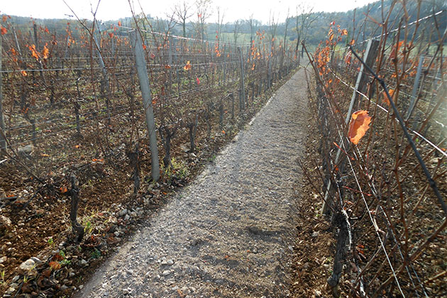 Après passage dans des vignes du broyeur de pierres Kirpy BPL