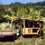 RMTD tobacco harvesting machine